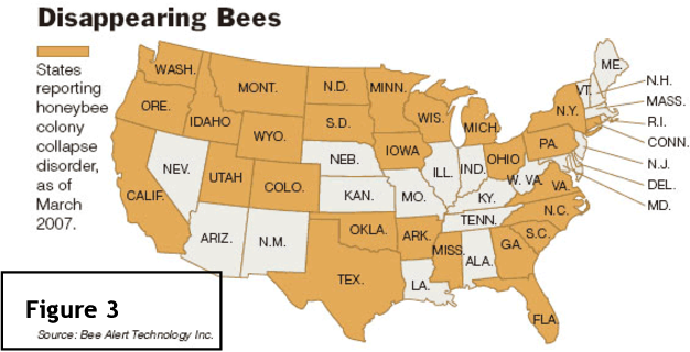 Colony Collapse Disorder