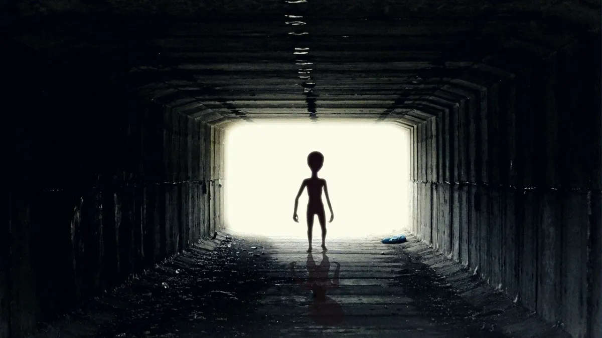 Alien Invasion - Complete Survival Guide For The Coming Extraterrestrial Apocalypse: Part II