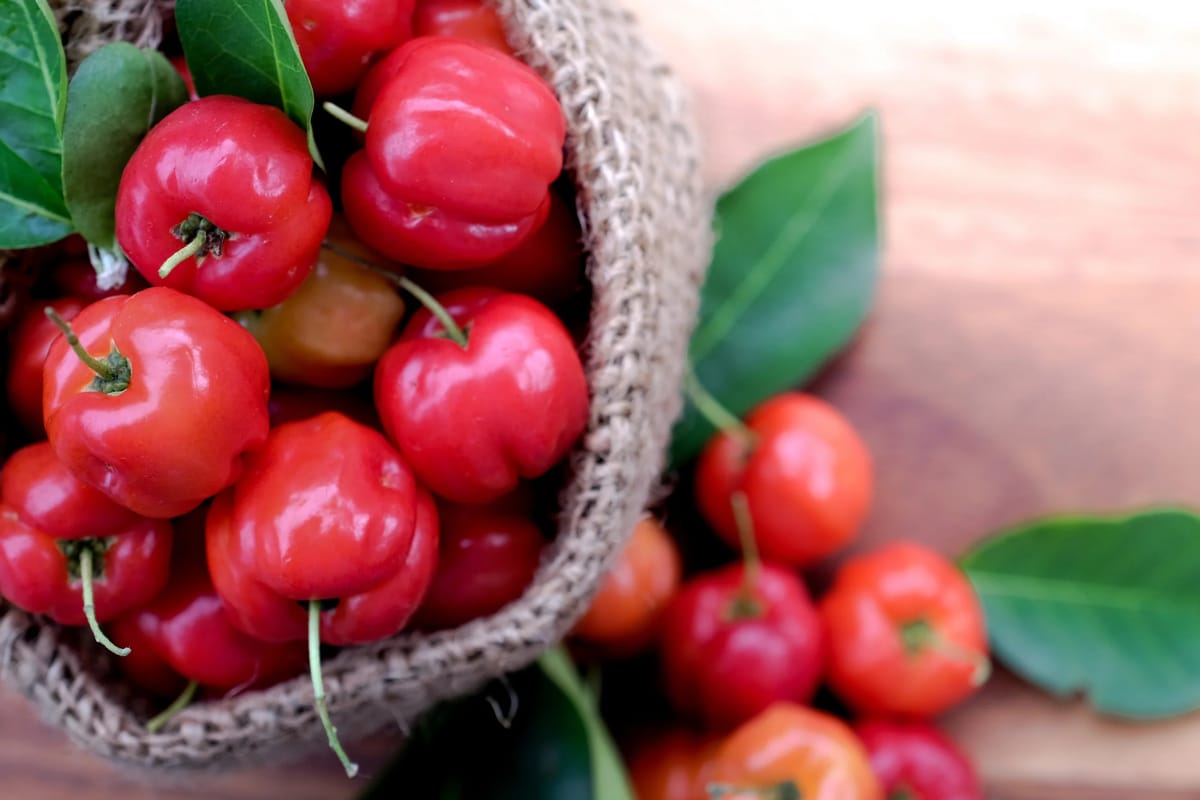 Acerola Fruit: The Nutritional Powerhouse with Immense Health Benefits