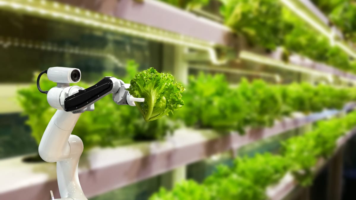 Vertical Farming