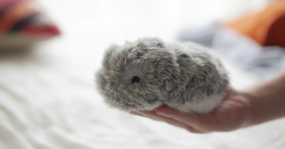 AI-Powered Emotional Support Robot