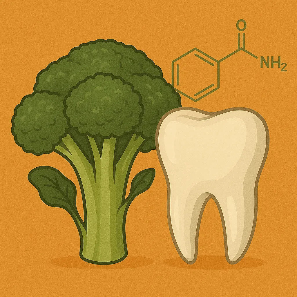 Broccoli’s Secret Weapon