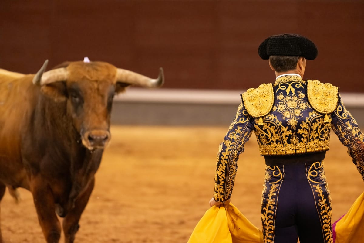Mexico City’s Bullfighting