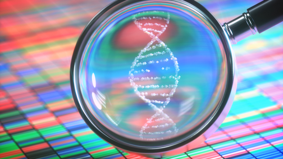 Forensic Genetic Genealogy