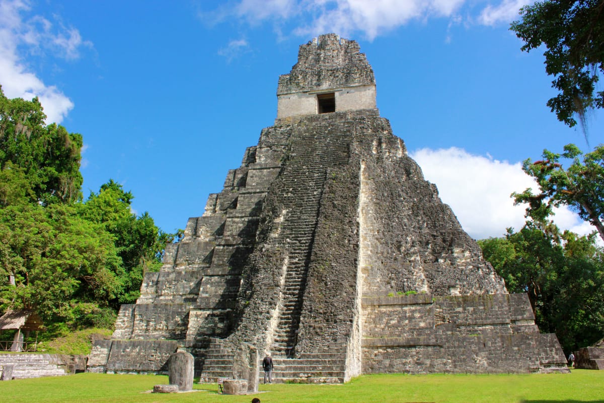 Tikal: The Jungle City