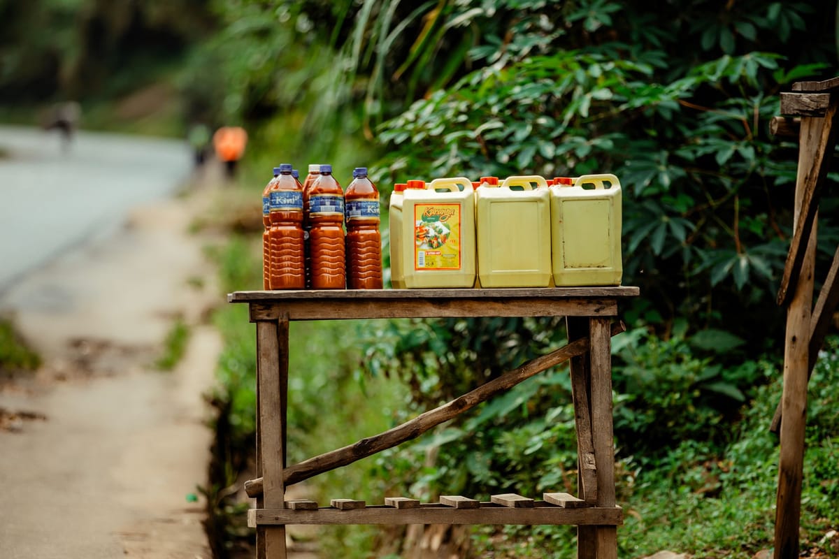 The Truth Behind Palm Oil: Why One Ingredient Is Not the Real Problem