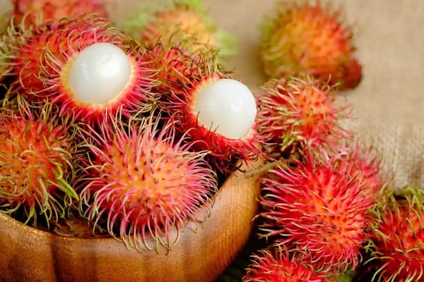 Rambutan: Exploring the Exotic Tropical Delight