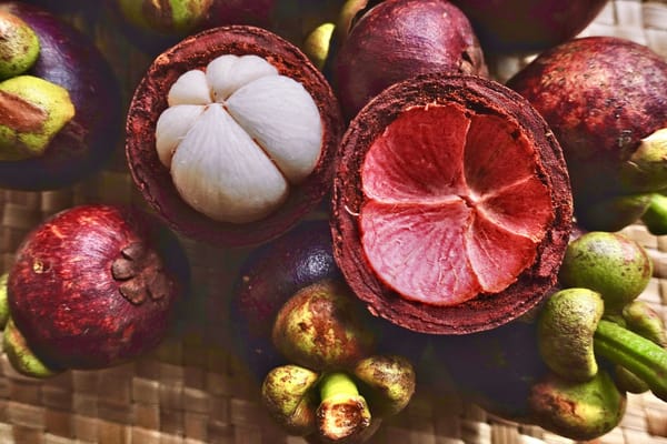 Mangosteen: The Exotic Jewel of the Tropics