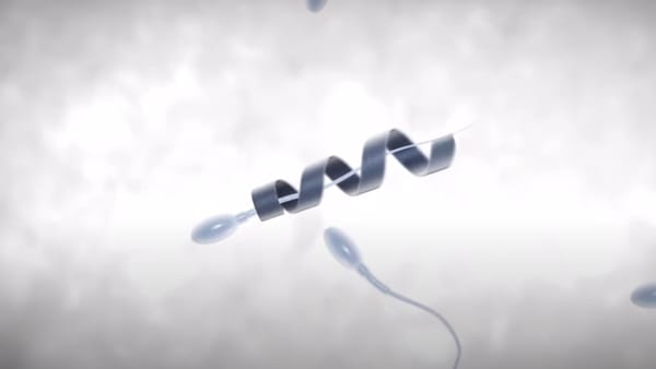 Sperm Nanobots