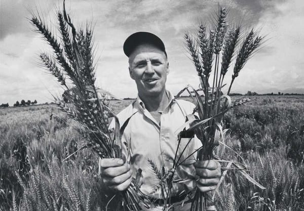 Norman Borlaug