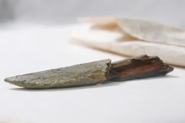 Secrets of the Daisen Kofun