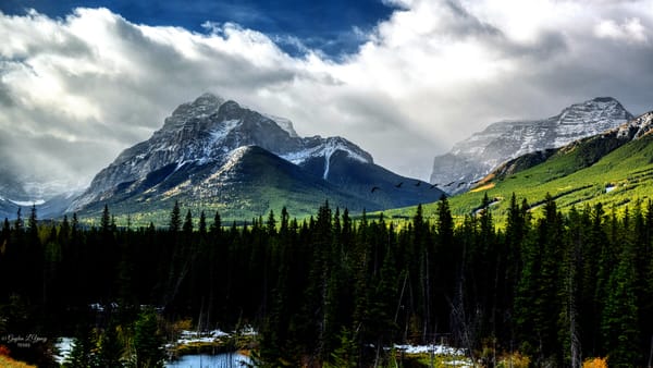 Canada’s 91% Forest Cover