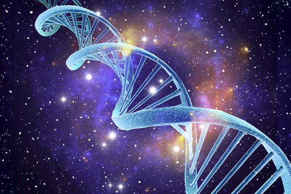 Astonishing Link Between DNA and the Stars
