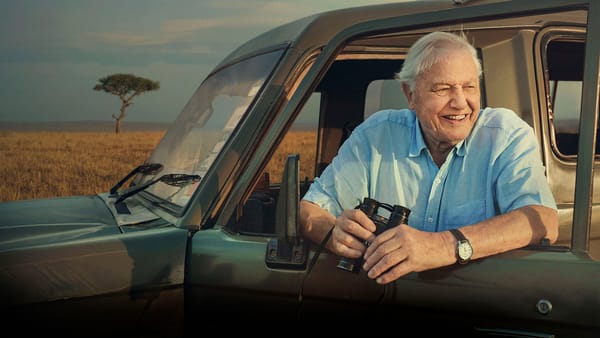 David Attenborough Turns 100