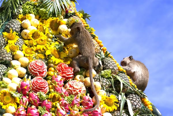 Lopburi Monkey Buffet Festival