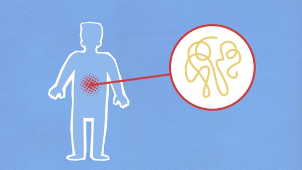 Hookworms: The Tiny Parasites That Can Enter Through Bare Feet