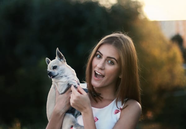 Pet Wellness: Holistic Health and Premium Care for Your Furry Companions