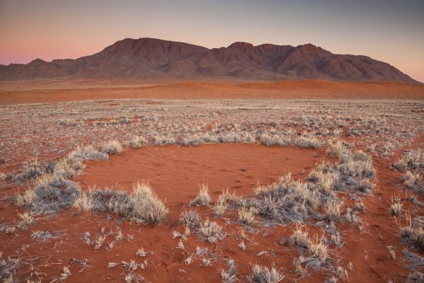 The Mystery of Fairy Circles: Natural Wonder or Mystical Message?
