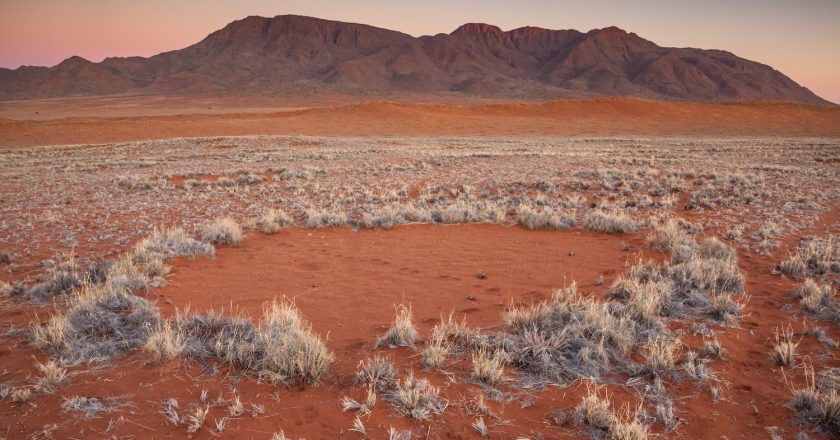 The Mystery of Fairy Circles: Natural Wonder or Mystical Message?