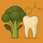 Broccoli’s Secret Weapon: How DIM Could Revolutionize Dental Health