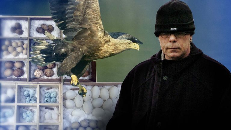 The Case of Daniel Lingham: Britain’s Repeat Bird Egg Collector Who Amassed Nearly 3,000 Illegal Specimens