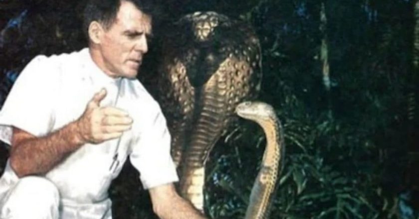 Bill Haast: The Snake Man Who Turned Venom Into a Lifelong Obsession
