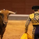 The Death of a Tradition: What Mexico City’s Bullfighting Ban Really Means for Culture, Ethics, and the Future of Spectacle