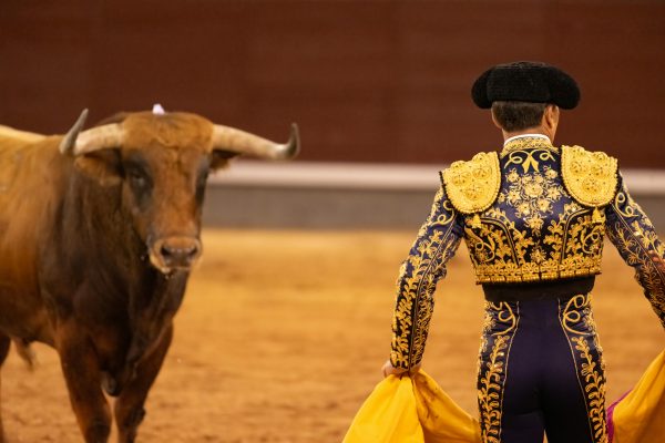 The Death of a Tradition: What Mexico City’s Bullfighting Ban Really Means for Culture, Ethics, and the Future of Spectacle