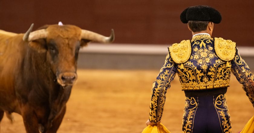 The Death of a Tradition: What Mexico City’s Bullfighting Ban Really Means for Culture, Ethics, and the Future of Spectacle