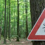 Debunking the Plum Island Lyme Disease Theory: Why Science Rejects the Lab-Origin Claim