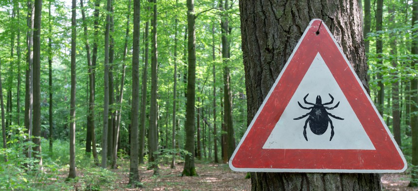 Debunking the Plum Island Lyme Disease Theory: Why Science Rejects the Lab-Origin Claim