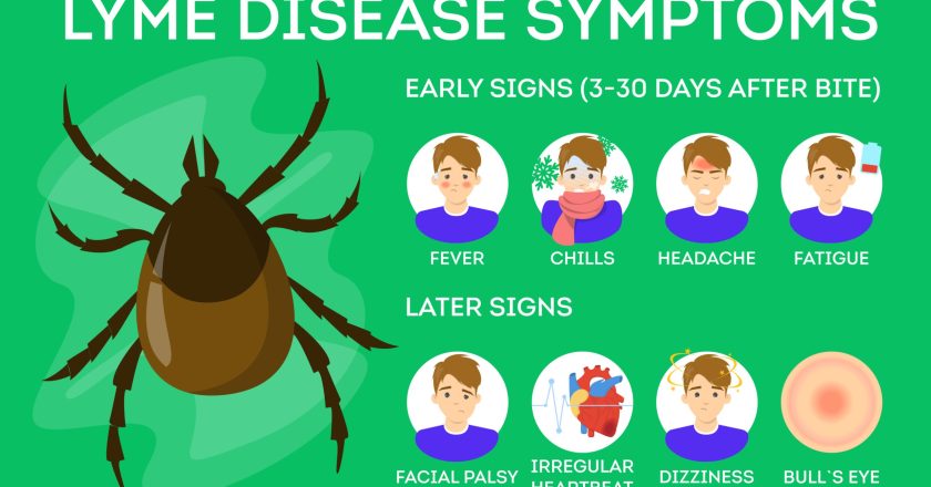 The Lyme Disease Mystery: Untangling the Controversial Link to Plum Island and Lab 257