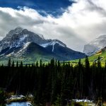 Canada’s 91% Forest Cover Claim: What the Number Really Means — and What It Hides