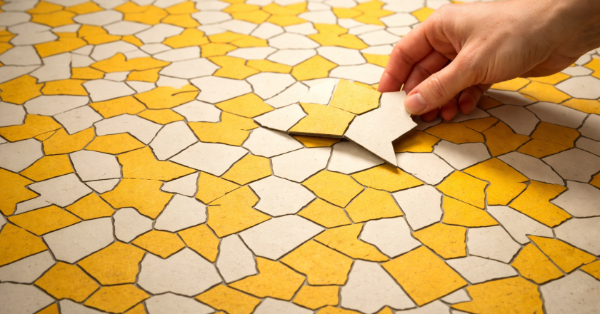 The “Einstein” Tile: The One Shape That Can Cover an Infinite Floor Without Ever Repeating