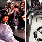 The Shot That Stopped the Courtroom: The Marianne Bachmeier Verdict That Echoes Through Time