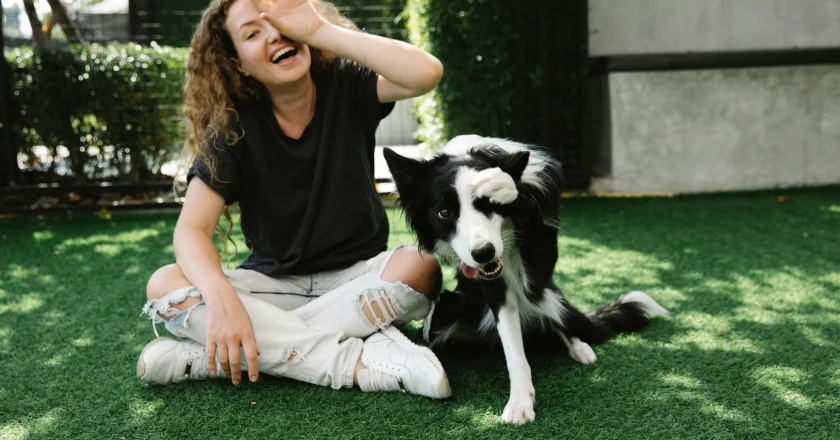 When Hearts Beat Together: The Hidden Physiological Bond Between Dogs and Humans