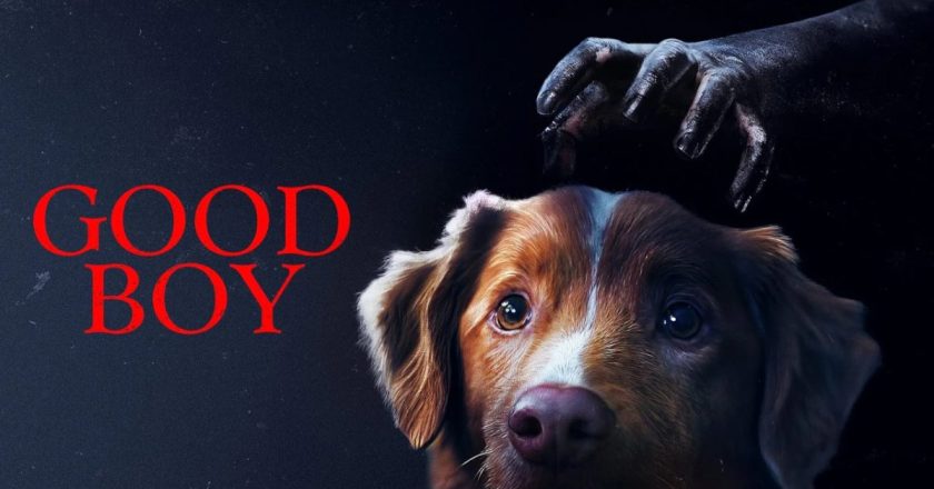 A Good Boy Breaks the Rules: How a Dog Made Film History—and Carried a Horror Movie on Four Legs